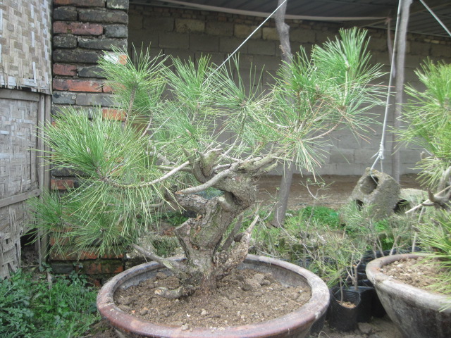 201302228 008.jpg