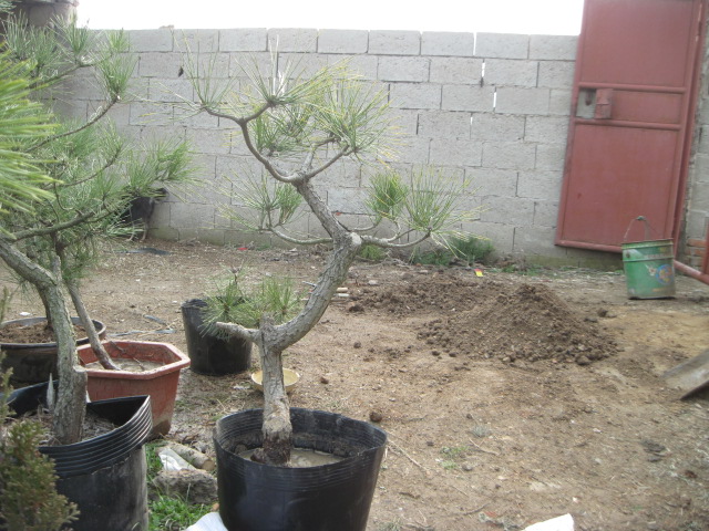 201302228 015.jpg