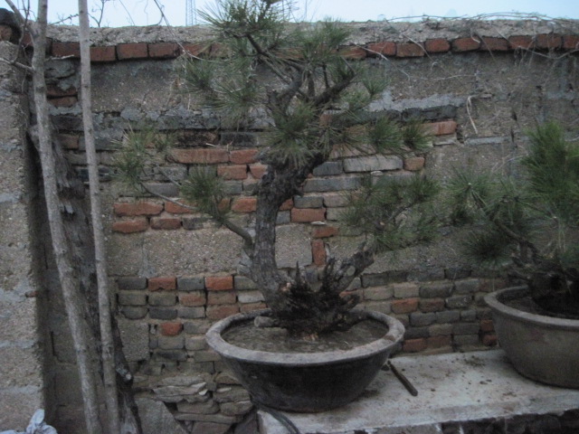 201302228 019.jpg