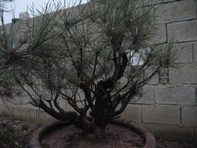 201302228 025.jpg