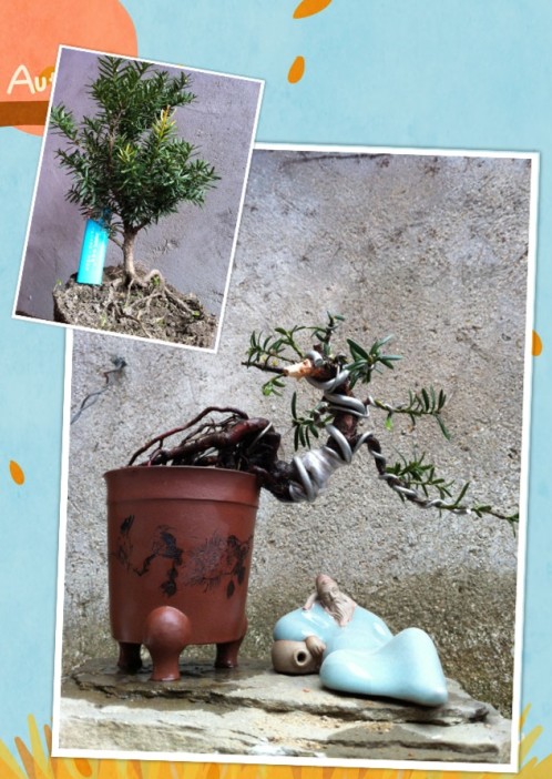 QQͼ20130228133633.jpg