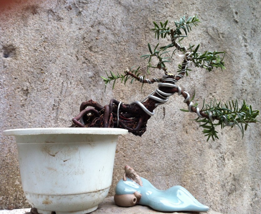QQͼ20130228131816.jpg