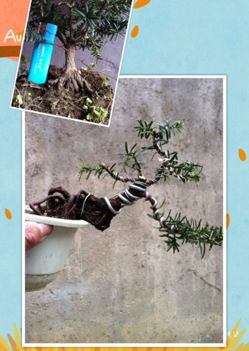 QQͼ20130228133545.jpg