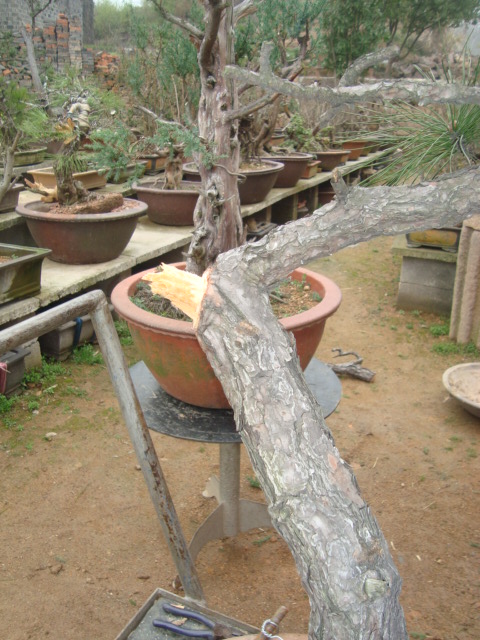 DSC06587.jpg