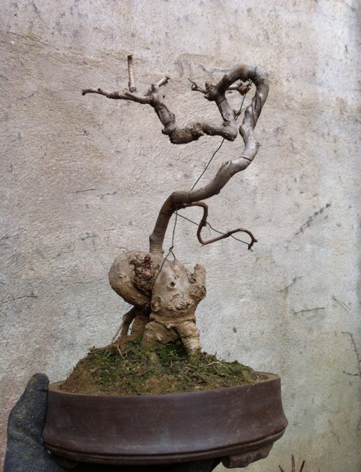 QQͼ20130301191745.jpg