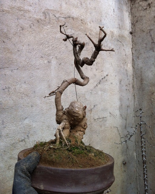 QQͼ20130301191727.jpg