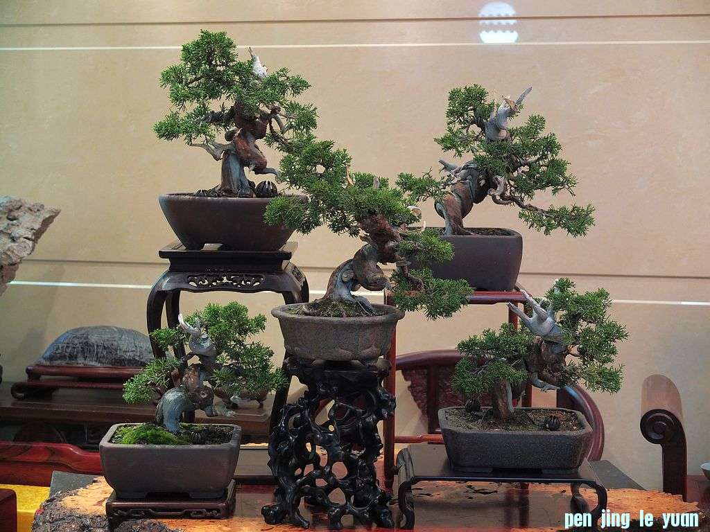DSCF1083.jpg