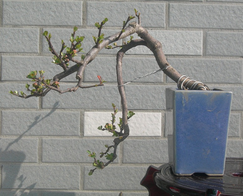 DSCN4382_.jpg