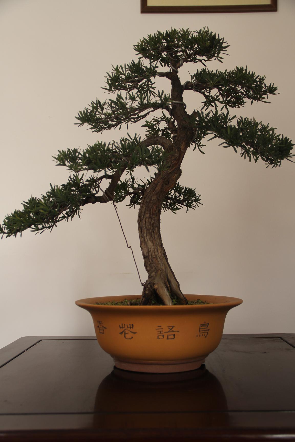 ȸ޺20120203 006.jpg