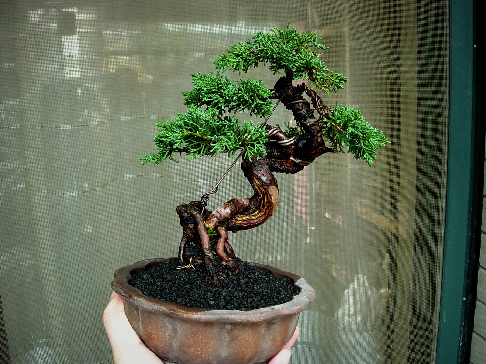 DSCN8970.JPG
