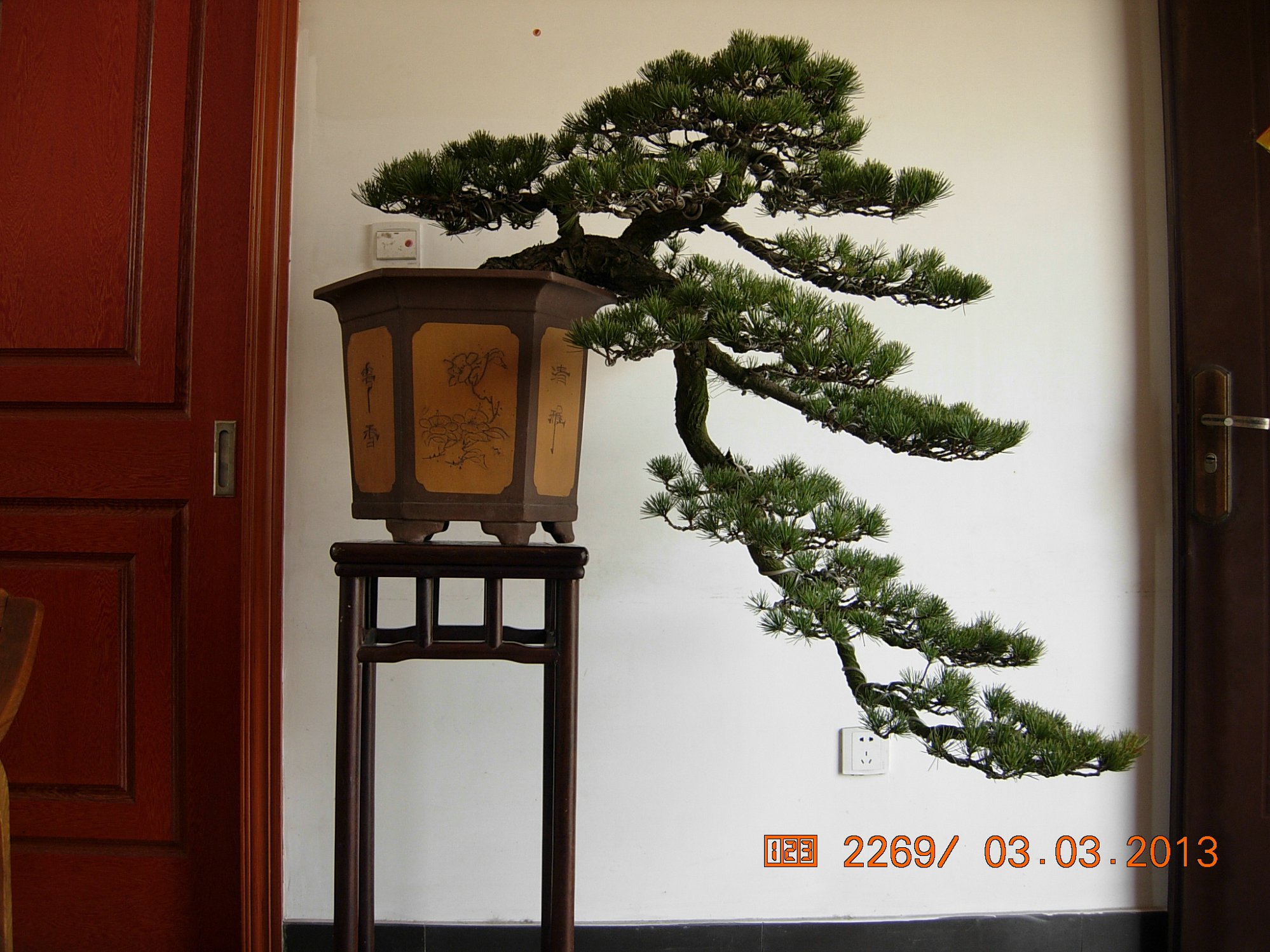 DSCN6549.JPG