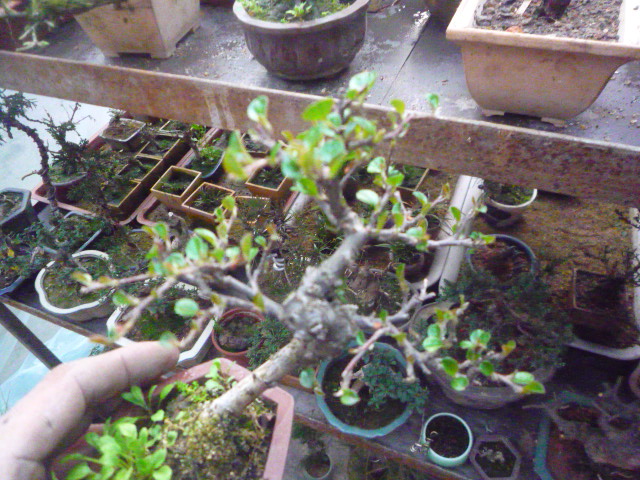P1080331.JPG