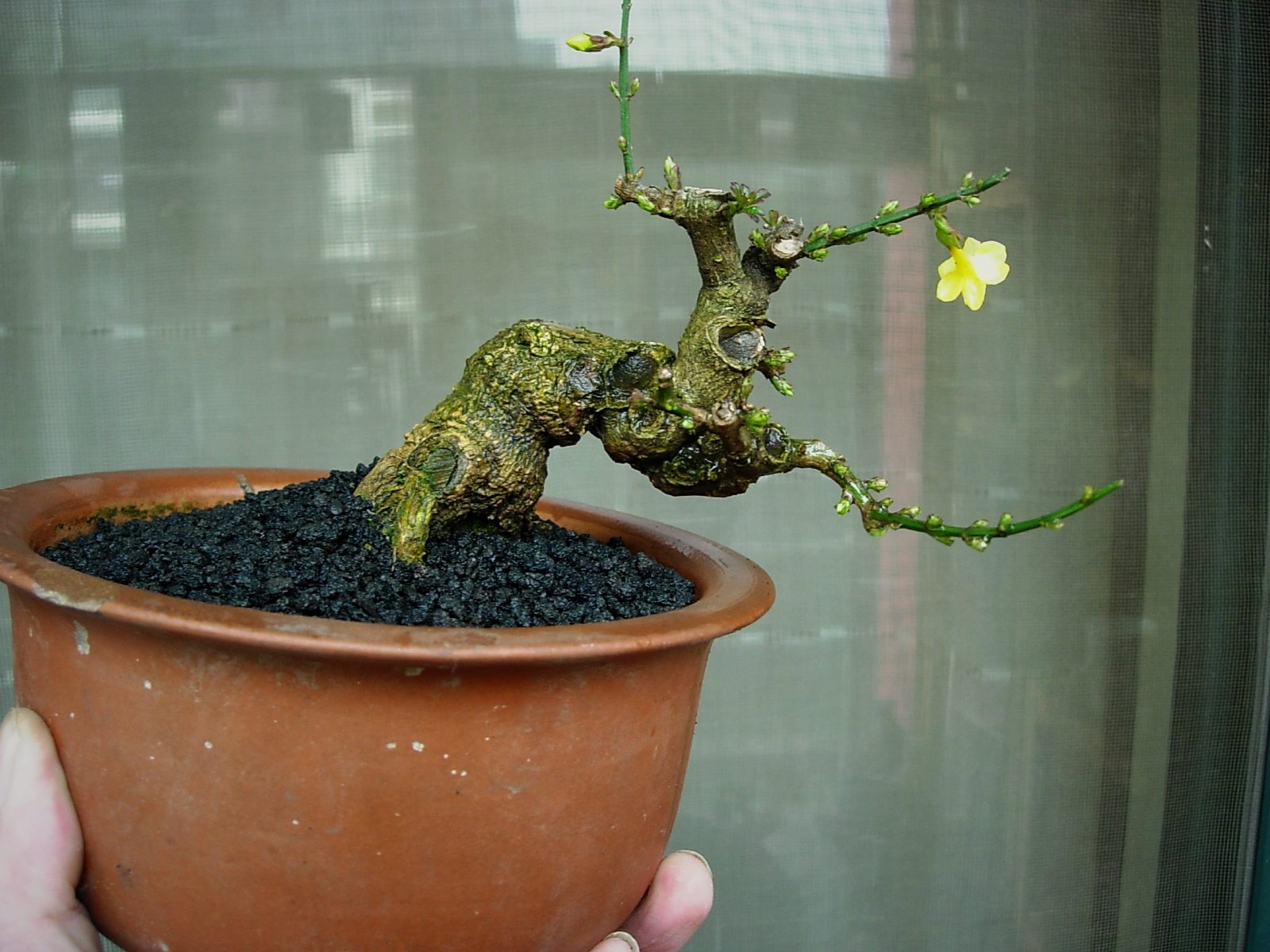 DSCN8996.JPG