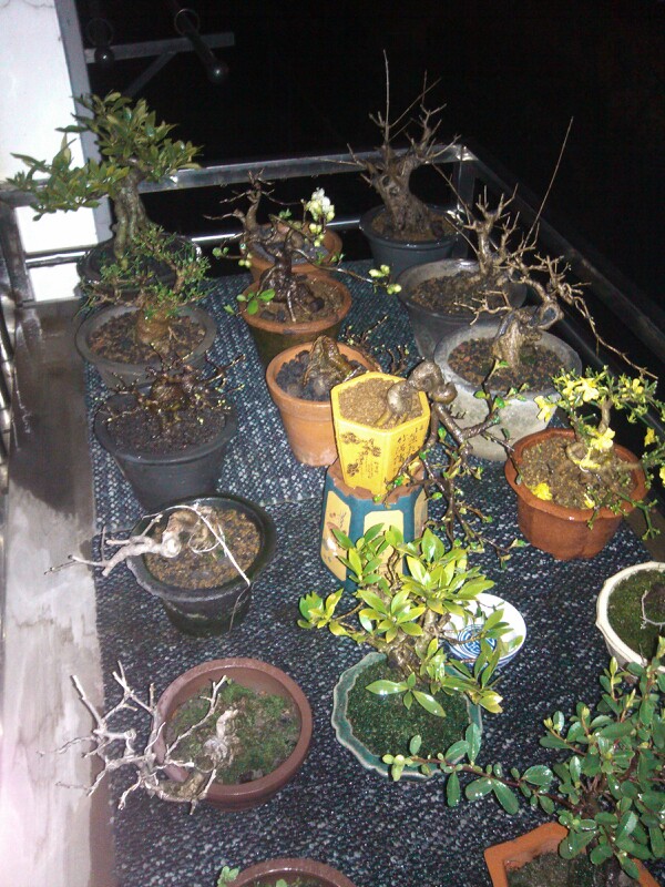 IMG20130306202102.jpg