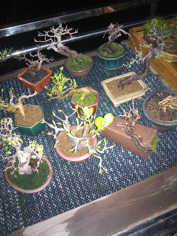 IMG20130306202125.jpg