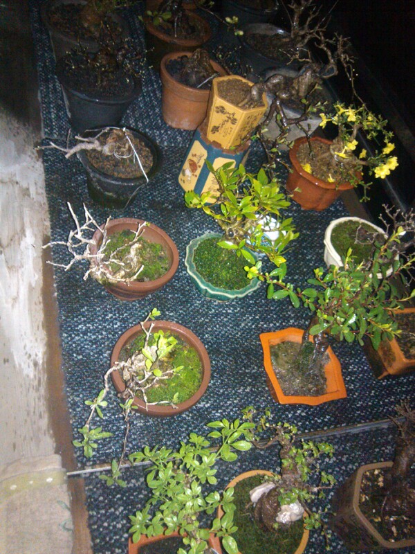 IMG20130306202216.jpg