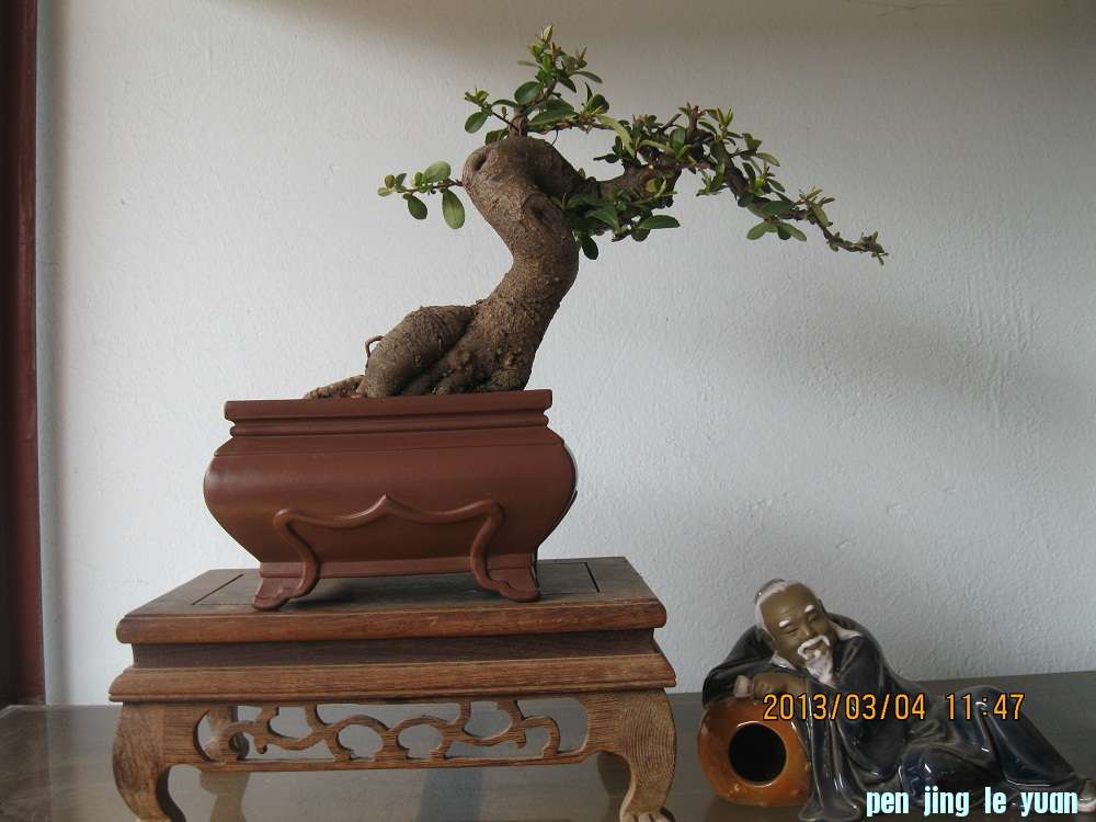 IMG_1685.JPG