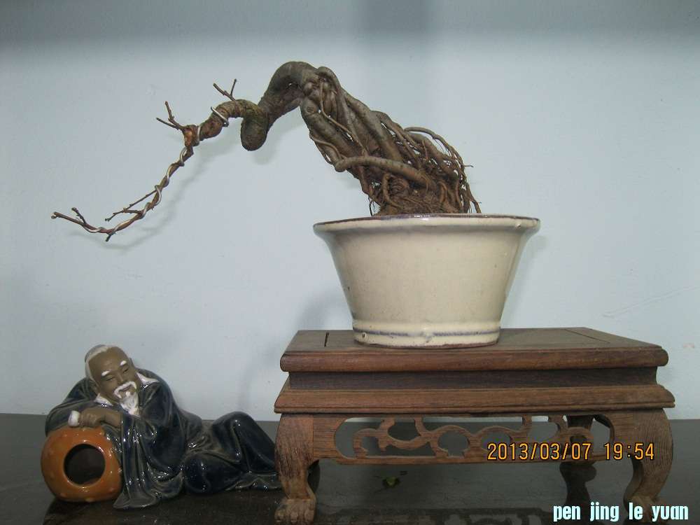 IMG_1703.JPG