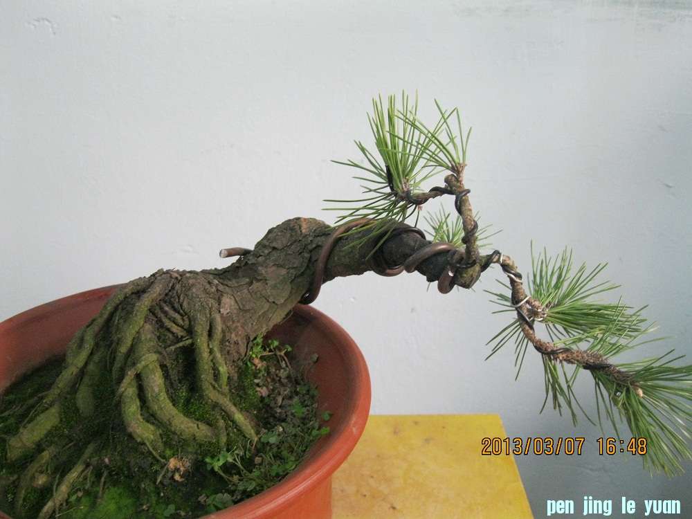 IMG_1700.JPG