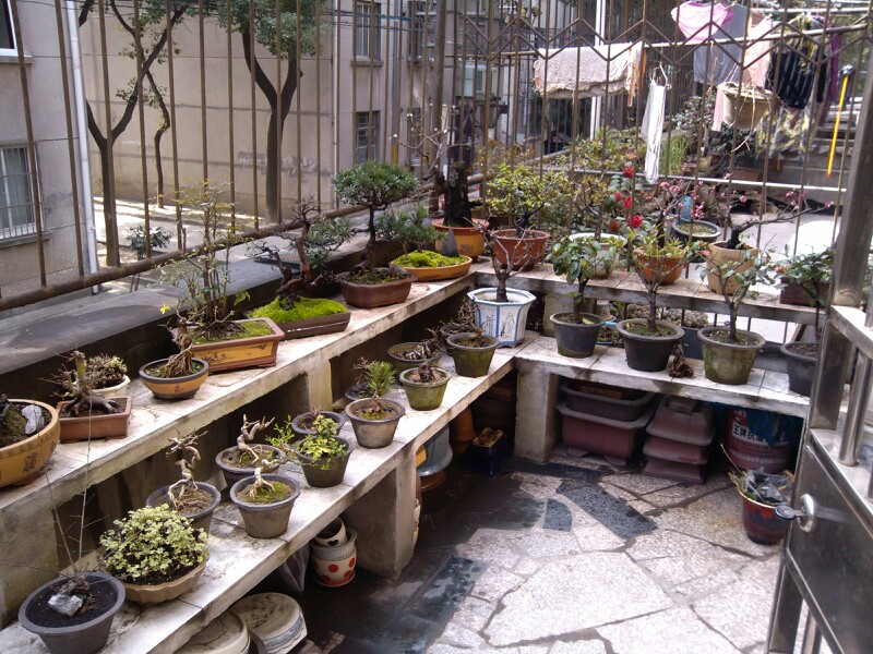 IMG20130309212636.jpg