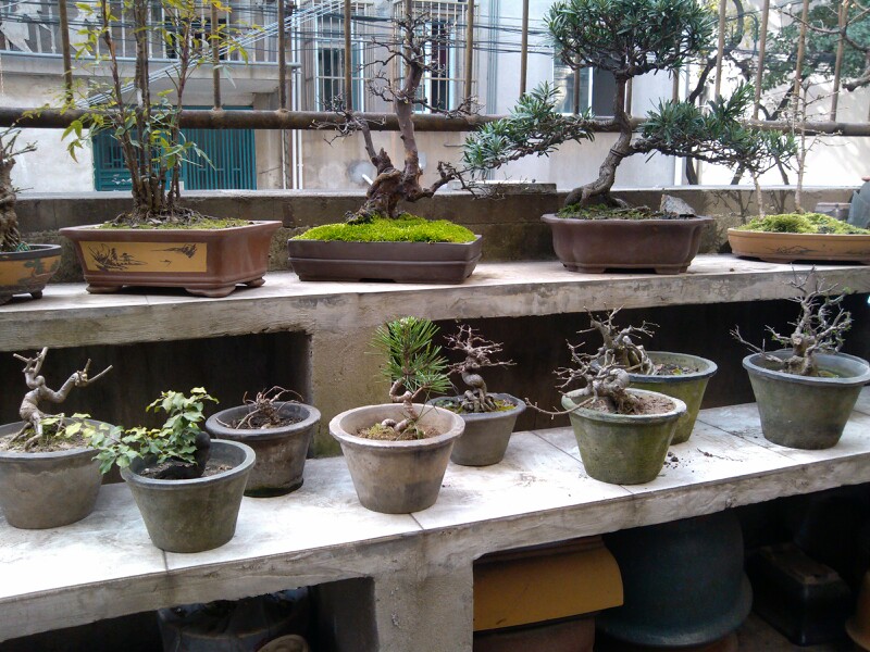 IMG20130309212655.jpg