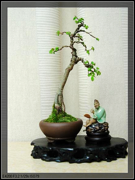 DSCN2744.JPG