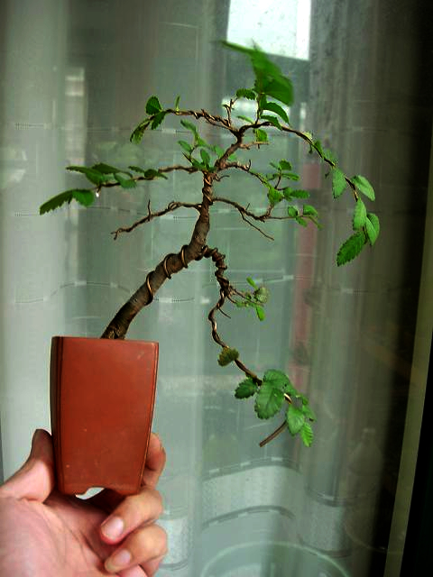 DSCN3533.JPG