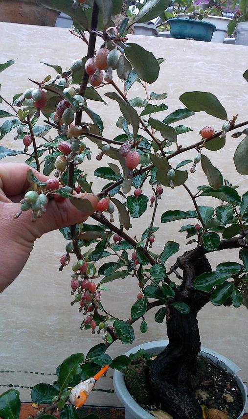 IMG0215162200.jpg