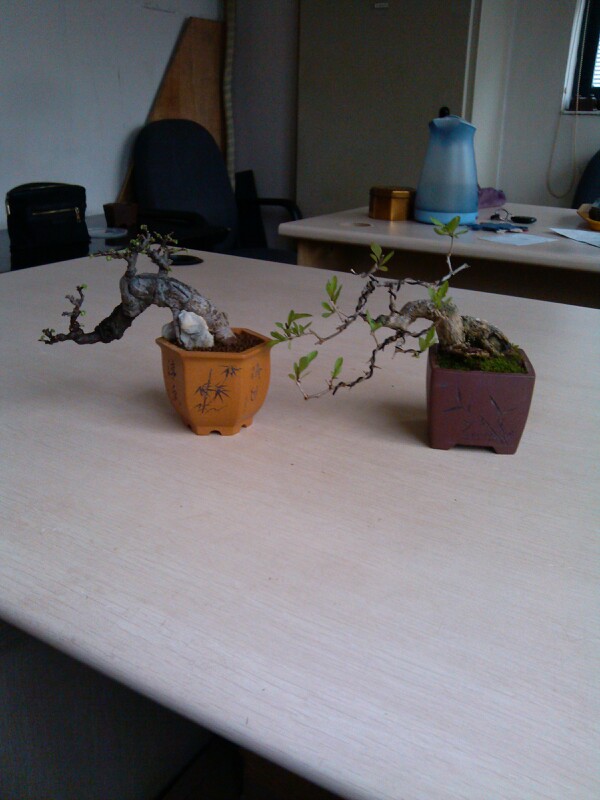 IMG20130311085349.jpg