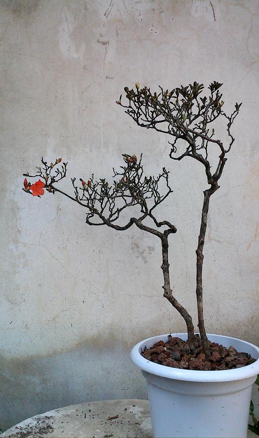 IMG0311143200.jpg