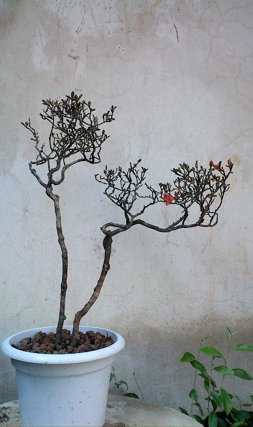 IMG0311143201.jpg