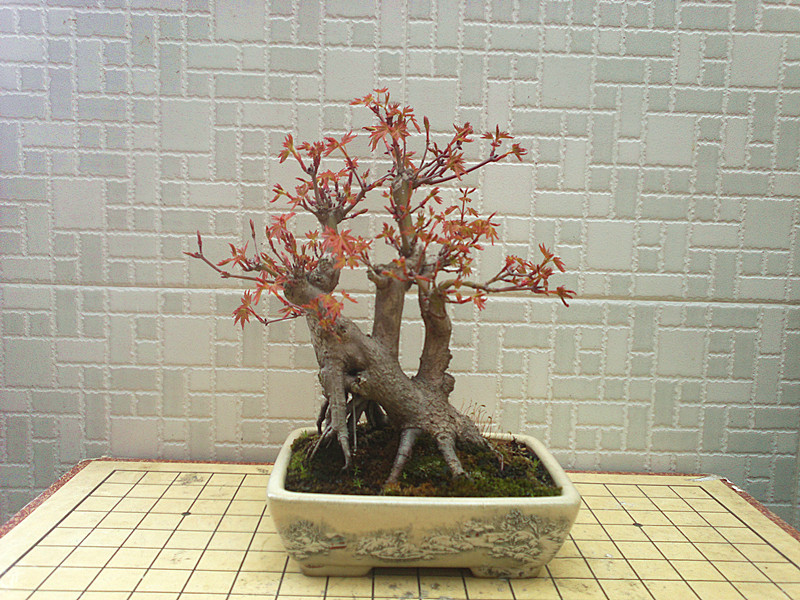 201303122458_.jpg