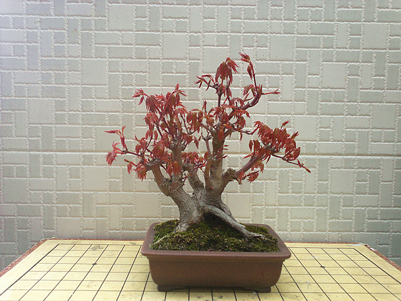 201303122459_.jpg