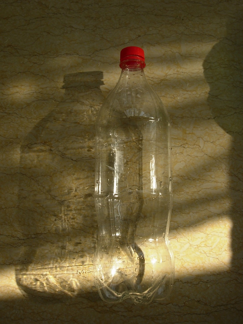 conew_dscn9002.jpg