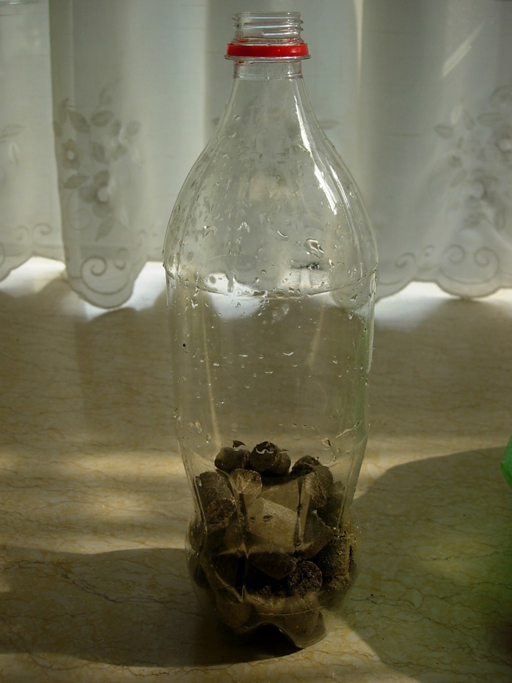 conew_dscn9006.jpg