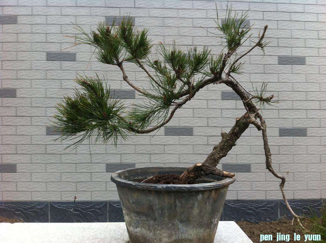 20130313100 002.jpg