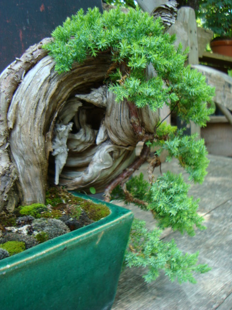 dsc07611.jpg