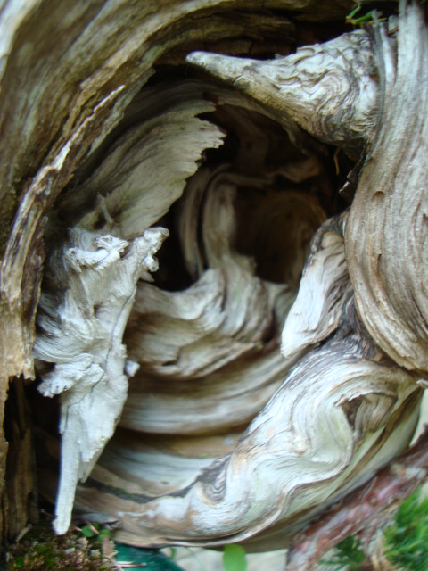 dsc07612.jpg