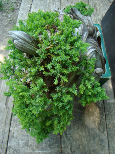 dsc07613.jpg