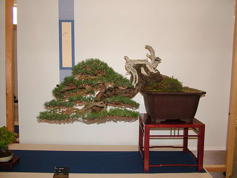 dscf8722.jpg