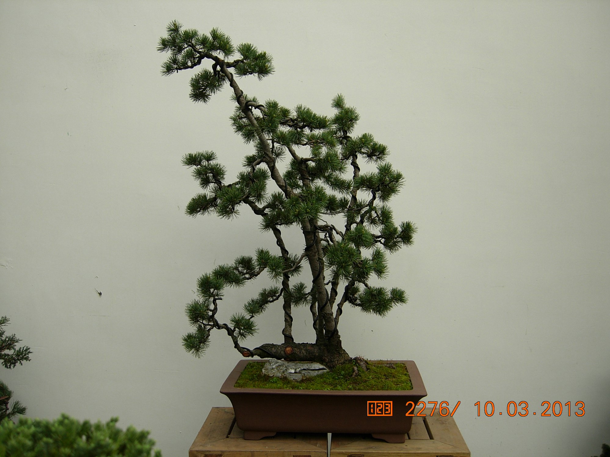 DSCN6569.JPG