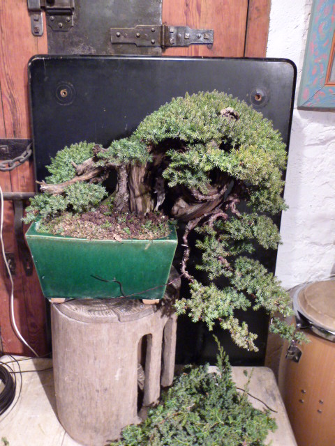 p1000816.jpg