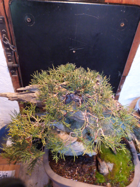 p1010327.jpg