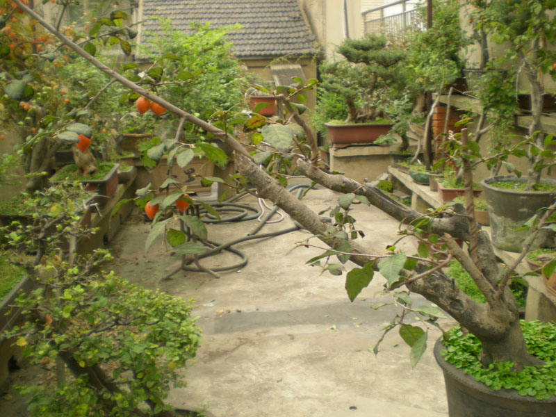 DSCN2169.JPG