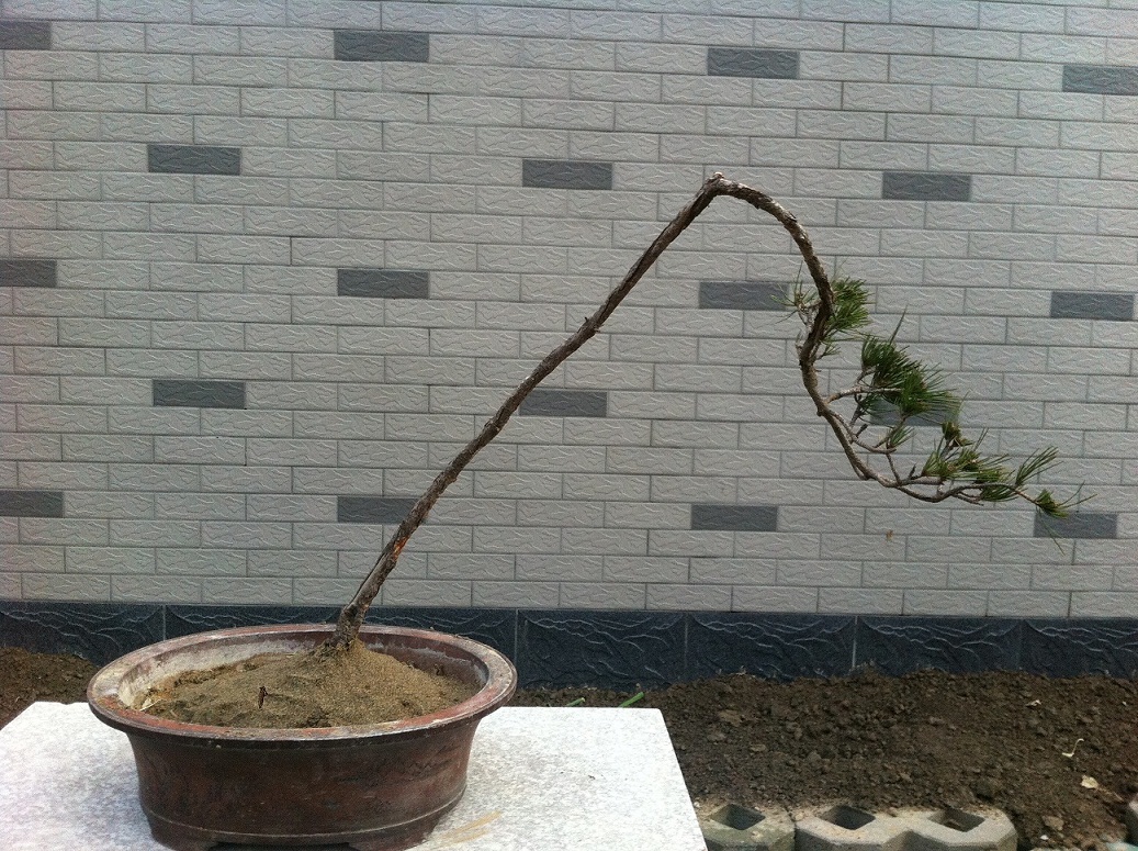 20130314130.JPG