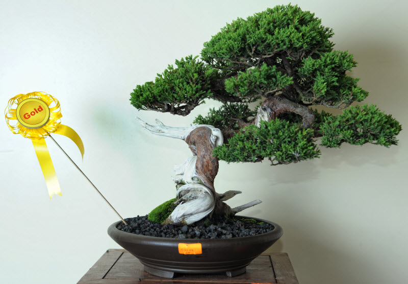 aDSC_3975.jpg