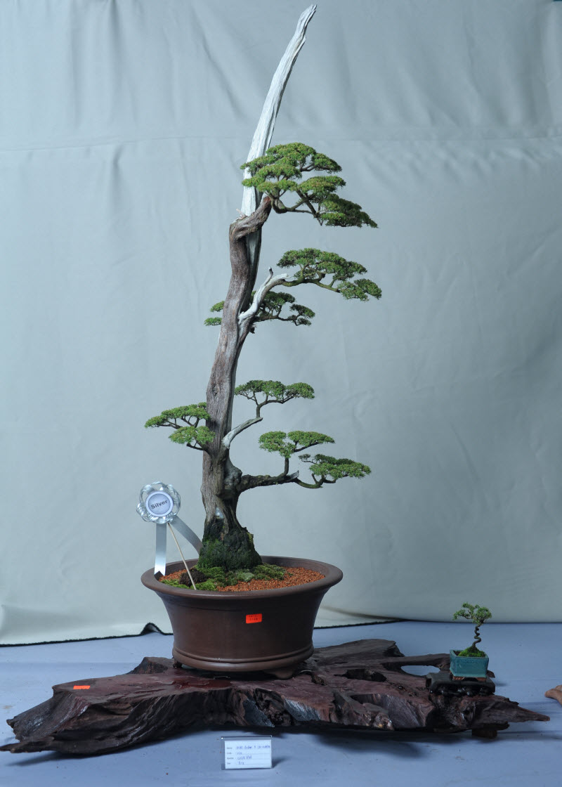 aDSC_4271.jpg