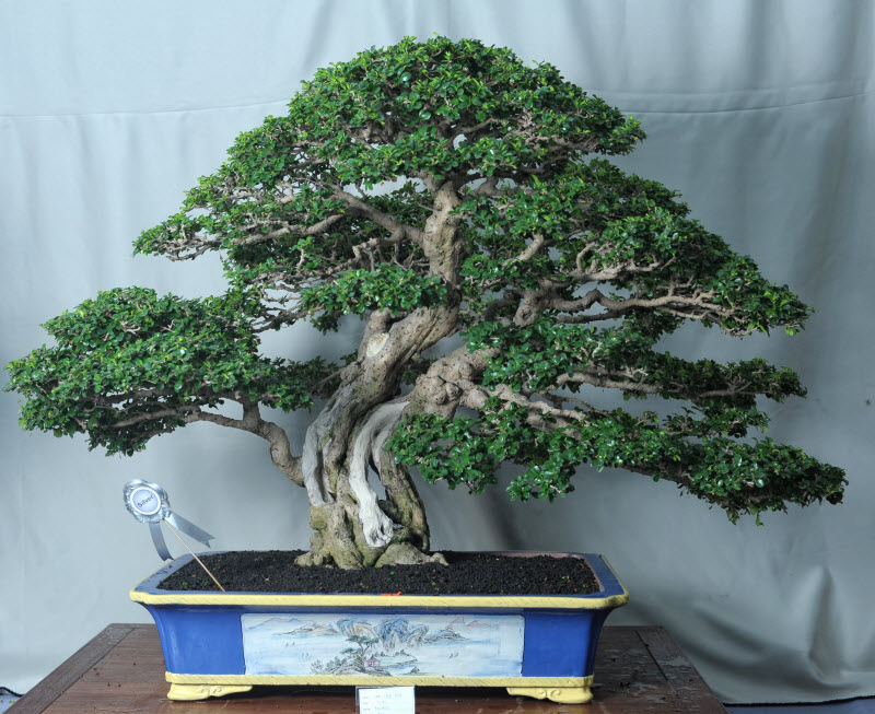 aDSC_4318.jpg