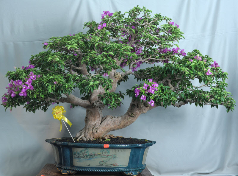 aDSC_4322.jpg