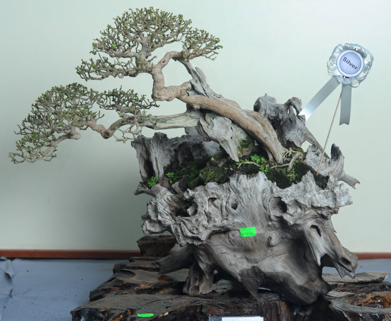aDSC_4529.jpg